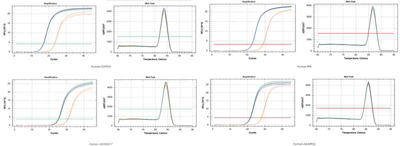 使用TransGen產(chǎn)品，以200 ng RNA、200 ng RNA+200 ng gDNA、200 ng gDNA為  模板進(jìn)行反轉(zhuǎn)錄后定量擴(kuò)增不同基因。結(jié)果表明，TransGen產(chǎn)品具有強的gDNA去除能力。