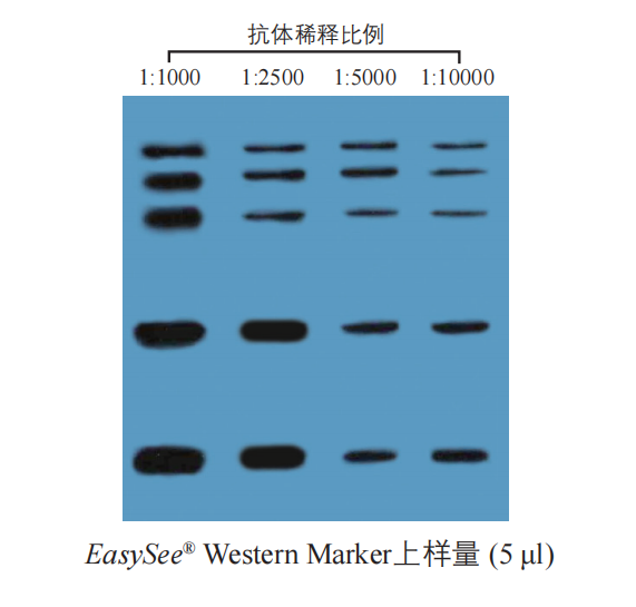 ProteinFind? Goat Anti-Mouse IgG (H+L), HRP Conjugate (HS201)