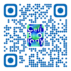 1細(xì)胞生物學(xué)副本.png