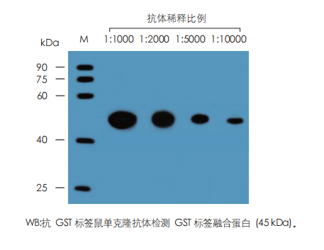 數(shù)據(jù)展示 數(shù)據(jù)展示