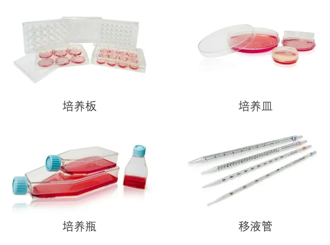 細胞培養(yǎng)相關(guān)耗材.jpg 細胞培養(yǎng)相關(guān)耗材.jpg